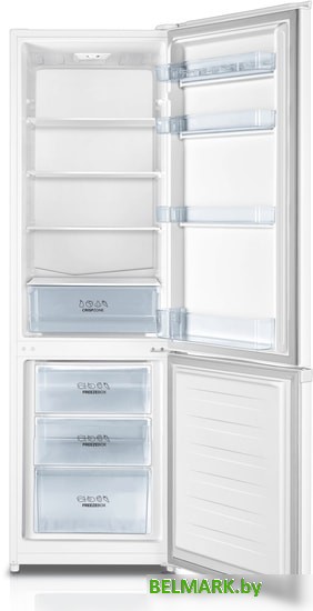 Холодильник Gorenje RK4181PW4 - фото2