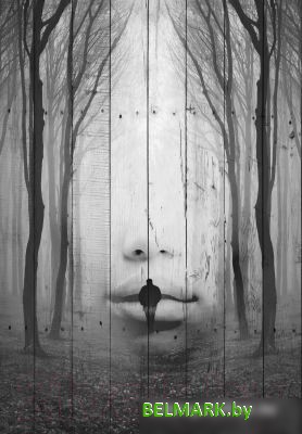 Картина White Wood B112-V-096-160-6.15 160x96 см - фото2