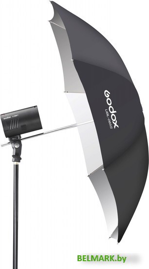 Комплект студийного света Godox AD100Pro Dual KIT - фото2