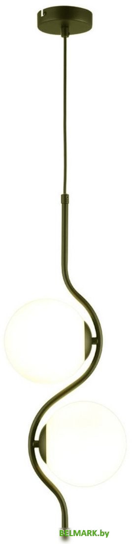 Подвесная люстра Aployt Jagna APL.312.06.02 - фото