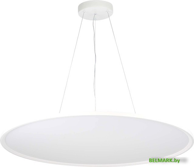 Подвесная люстра ST Luce ST602.543.72 - фото