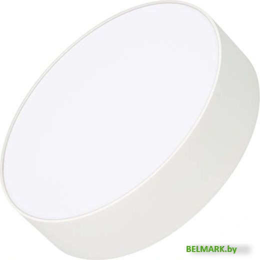 Светодиодная панель Arlight SP-RONDO-R210-20W Day4000 022230(2) - фото