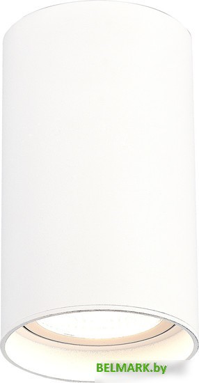 Спот ST Luce ST157.542.20 - фото