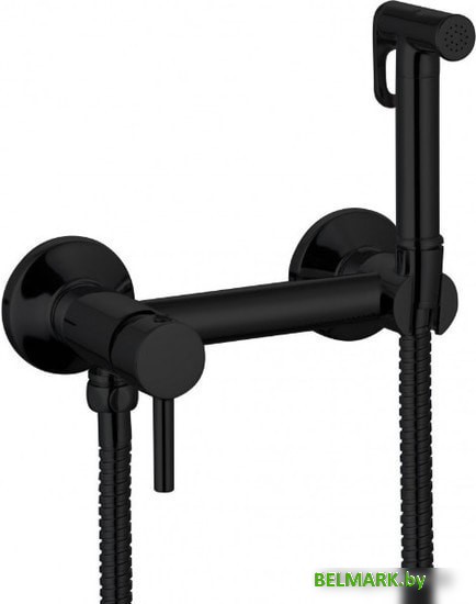 Гигиенический душ Ganzer GZ 12202C - фото