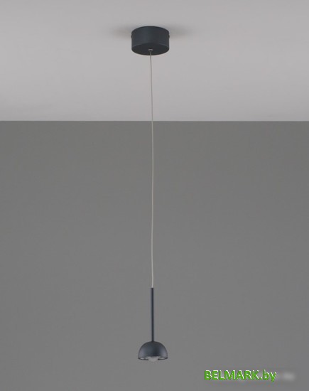 Подвесная люстра Moderli Fiona V10893-PL - фото2