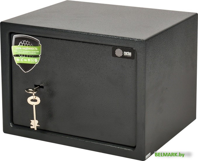 Мебельный сейф CACTUS CS-SF-K25 - фото