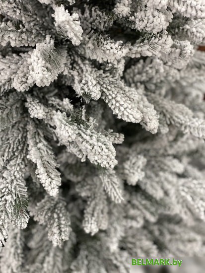 Ель GrandSiti Бергамо 2.4 м - фото2