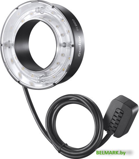 Импульсная головка Godox R200 кольцевая для AD200 - фото