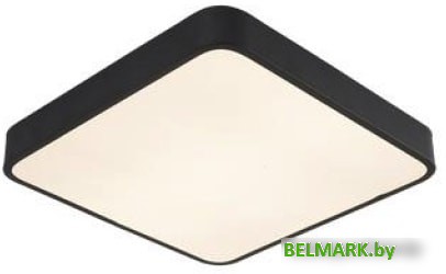 Припотолочная люстра Arte Lamp Scena A2663PL-1BK - фото