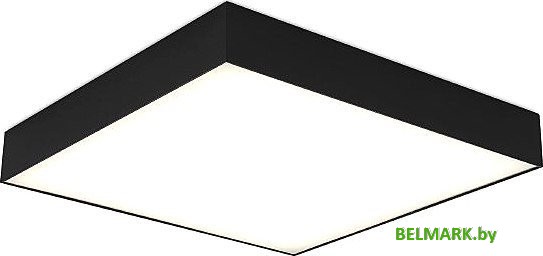 Припотолочная люстра ST Luce ST608.442.48 - фото