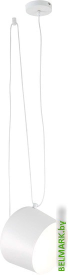 Подвесная люстра Evoluce Trieste SLE120653-01 - фото2