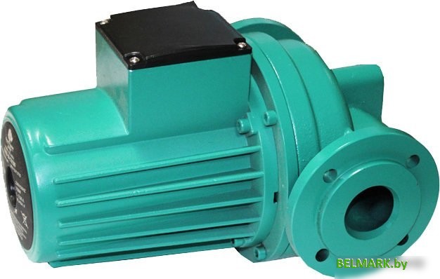 Циркуляционный насос OMNIGENA OMIS 50-170 - фото