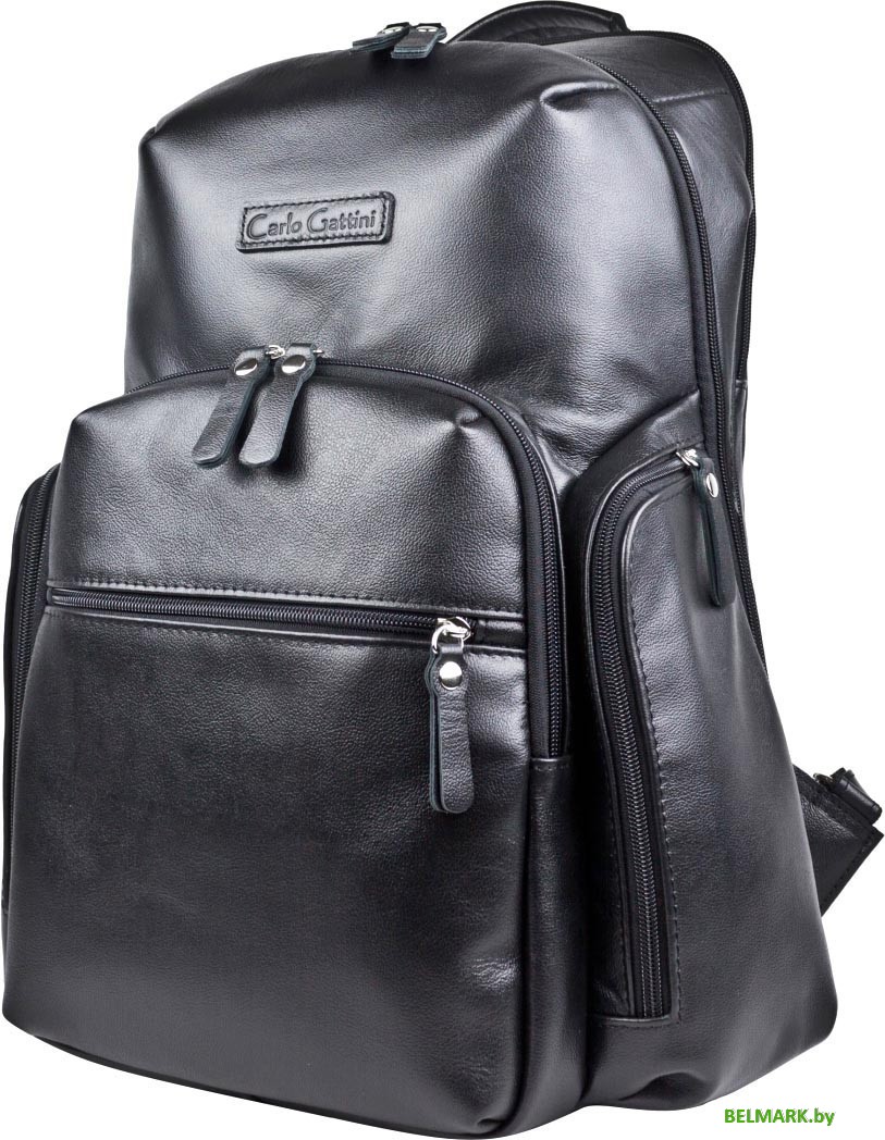 Городской рюкзак Carlo Gattini Classico Bertario 3102-01 (черный) - фото