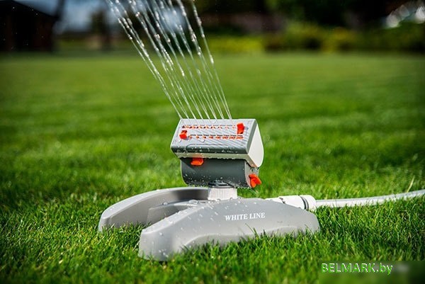 Bradas White Line WL-Z17 - фото2