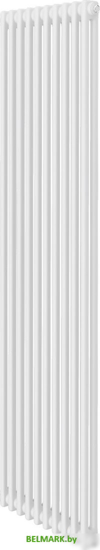 Стальной трубчатый радиатор Royal Thermo Insignia C2180 - 10 секций RAL9016 - фото