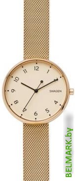 Наручные часы Skagen SKW2625 - фото