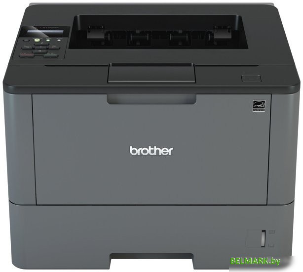 Принтер Brother HL-L5000D - фото