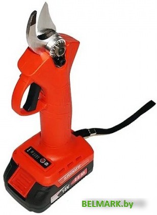 Секатор Felisatti НЖ-30/18Л3 - фото