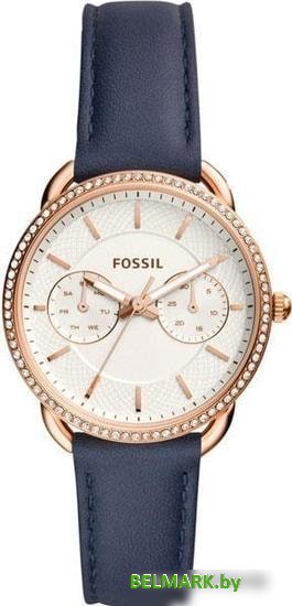 Наручные часы Fossil ES4394 - фото