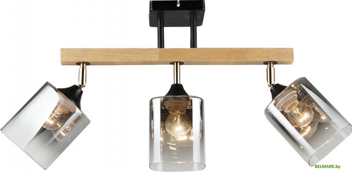 Люстра средней высоты Aitin Pro НПБ 02-3x60-101 N5280/3 (черный/дерево) - фото