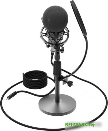 Микрофон Ritmix RDM-175 - фото2