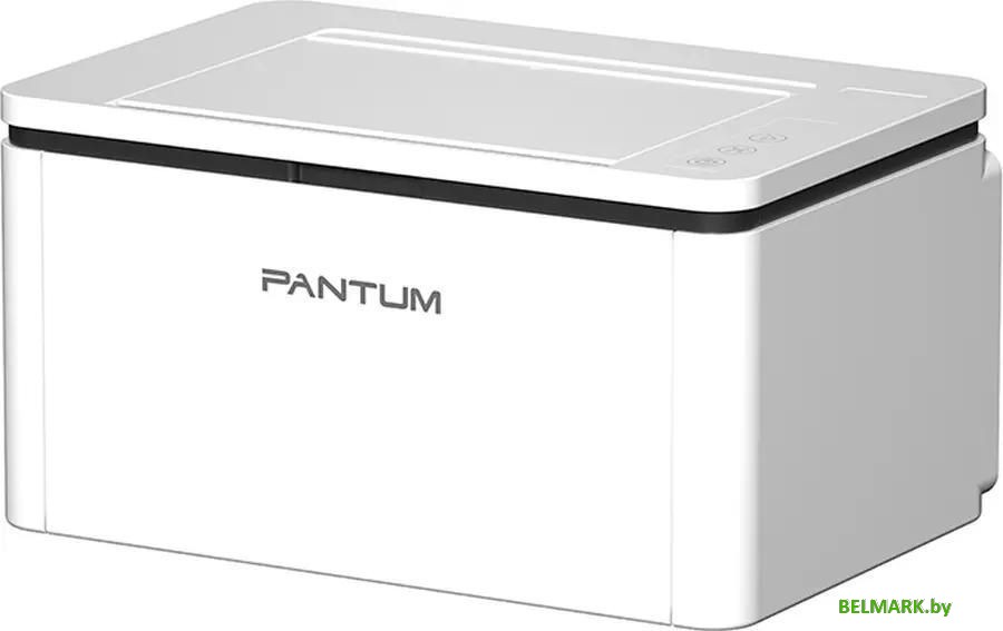 Принтер Pantum BP2300 - фото2