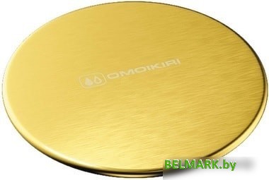 Накладка сливного гарнитура Omoikiri DEC LG 4957090 - фото