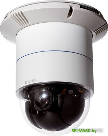 IP-камера D-Link DCS-6616 - фото