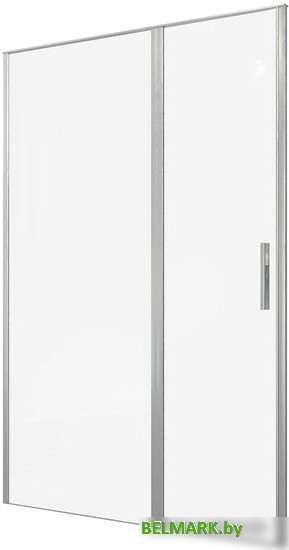 Душевая дверь Allen Brau Priority 3.31035.BA 294064 (серебро браш) - фото