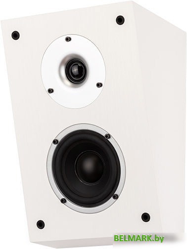 Акустика WILSON Raptor X (белый) - фото