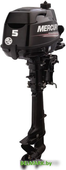 Лодочный мотор Mercury F5 MH - фото2