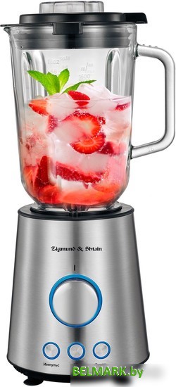 Стационарный блендер Zigmund & Shtain BS-445 D - фото2