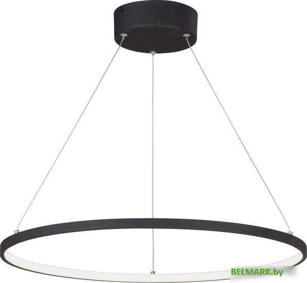 Подвесная люстра Vitaluce 4665 V4665-1/1S - фото