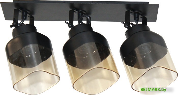 Спот Элетех Марш 111 НПБ 01-3х60-223 Е27 1005405034 (черный муар) - фото