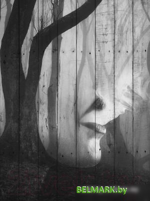 Картина White Wood B112-V-048-065-6.17 65x48 см - фото2