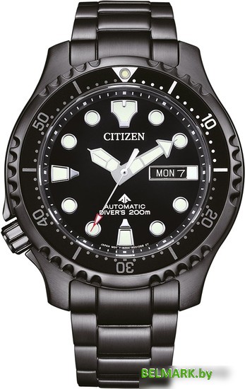 Наручные часы Citizen NY0145-86EE - фото