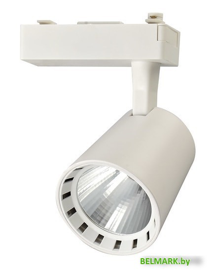 Трековый светильник JAZZway PTR 0315 15W 4000K 24 град белый - фото