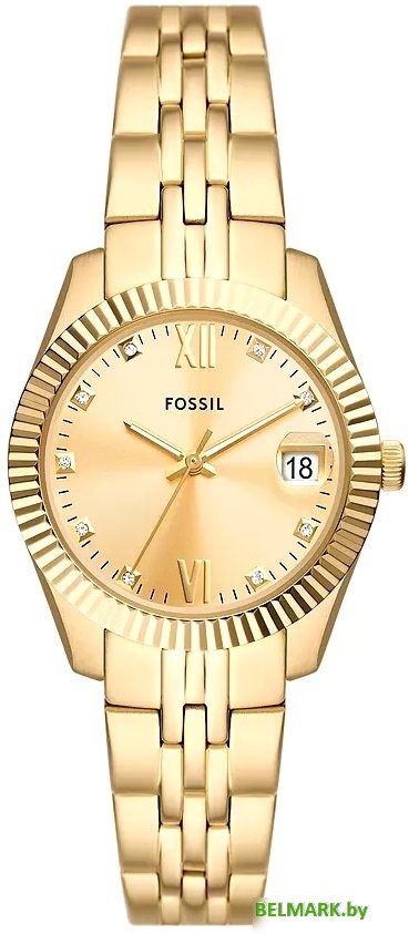 Наручные часы Fossil ES5338 - фото