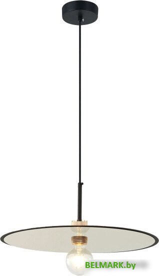 Подвесная люстра Lussole Butler LSP-8487 - фото