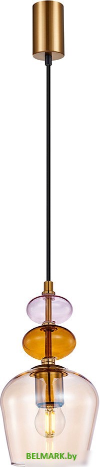 Подвесная люстра F-Promo 4339-1P - фото