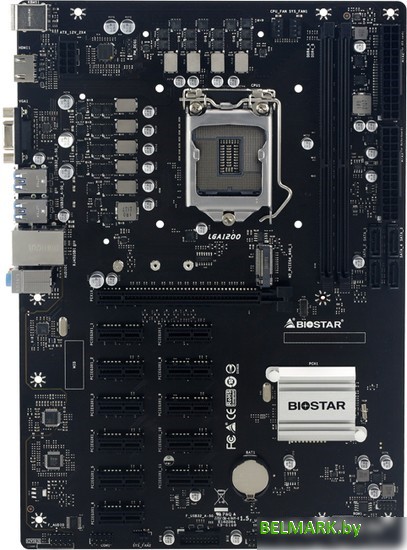 Материнская плата BIOSTAR TB560-BTC PRO Ver. 6.x - фото