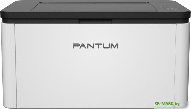 Принтер Pantum BP1800 - фото