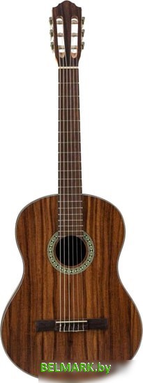 Акустическая гитара Flight C-110 Teak 4/4 - фото