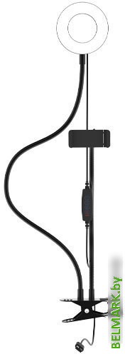 Кольцевая лампа Ritmix RRL-091 - фото