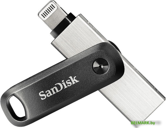 USB Flash SanDisk iXpand Go 64GB SDIX60N-064G-GN6NN - фото