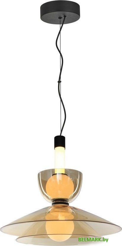 Подвесная люстра Aployt APL.772.06.12 - фото