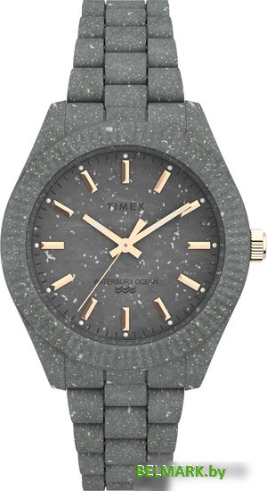 Наручные часы Timex Waterbury Ocean TW2V33000 - фото