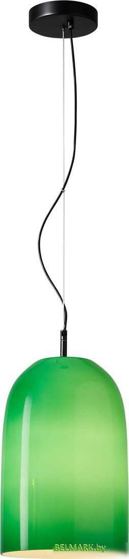 Подвесная люстра ST Luce SL2001.413.01 - фото