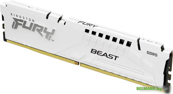 Оперативная память Kingston FURY Beast 16ГБ DDR5 5200 МГц KF552C40BW-16 - фото