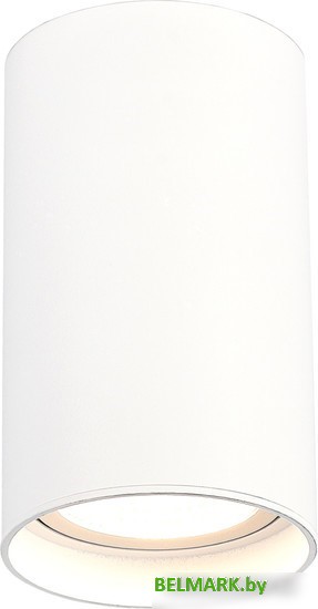 Спот ST Luce ST157.532.20 - фото